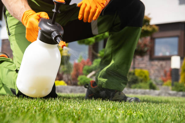 Best Pest Inspection Near Me  in Hudson, OH