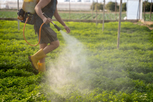 Best Affordable Pest Control Services  in Hudson, OH