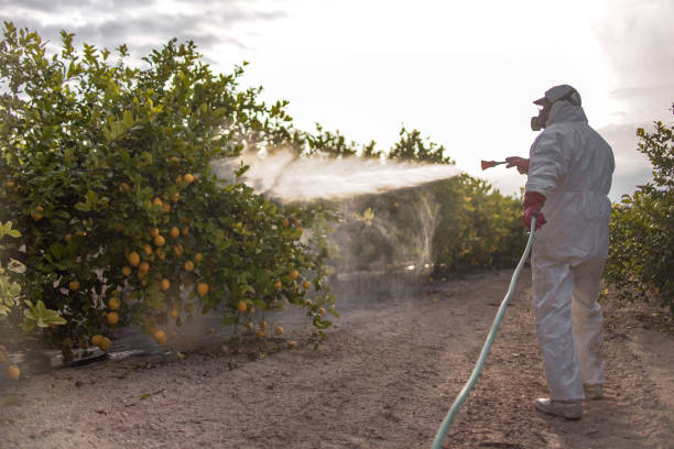 Best Mosquito Control Services  in Hudson, OH