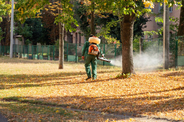 Best Pest Removal Services  in Hudson, OH