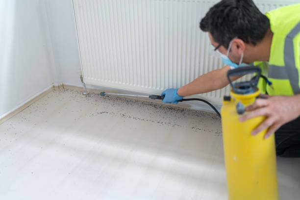 Best Exterminator Services  in Hudson, OH