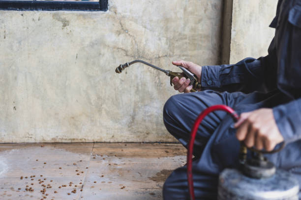 Best Best Pest Control Companies  in Hudson, OH